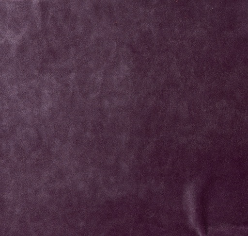 [25183-20] Emilia-20