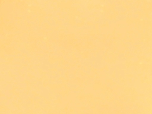 [25044-061] Athens-061