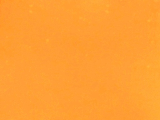 [25044-064] Athens-064